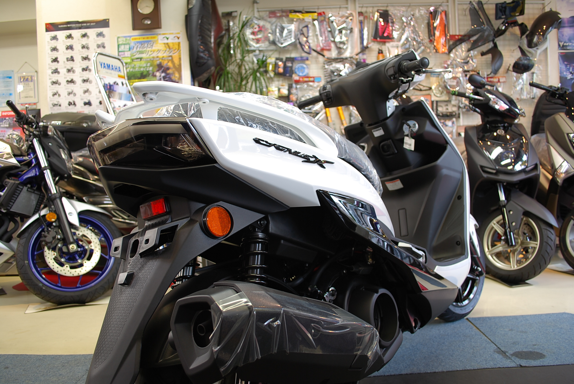 17 シグナス　各色 067